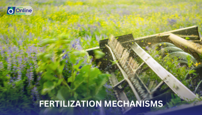 Lesson 14: Fertilization Mechanisms